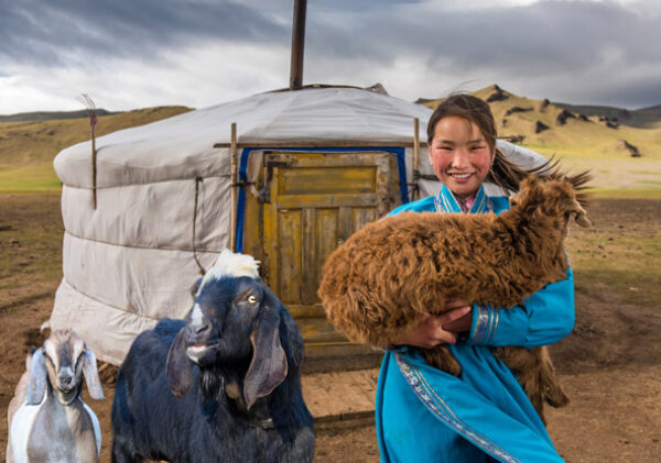 импорт-овец-из-монголии-в-узбекистан импорт-овец-из-монголии-в-узбекистан